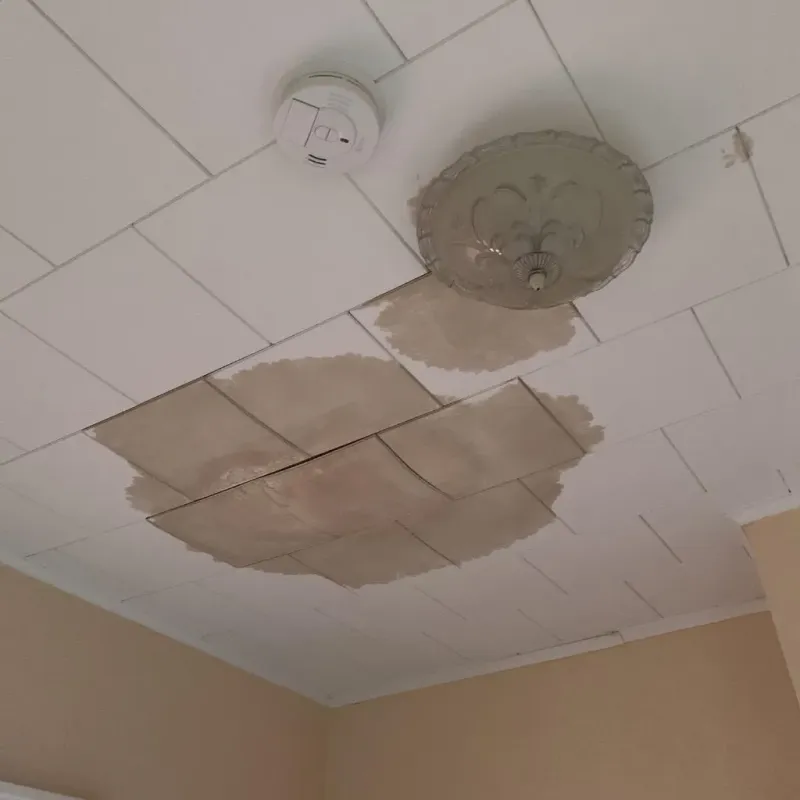 Ceiling Water Damage Repair in Northwest Ithaca, NY