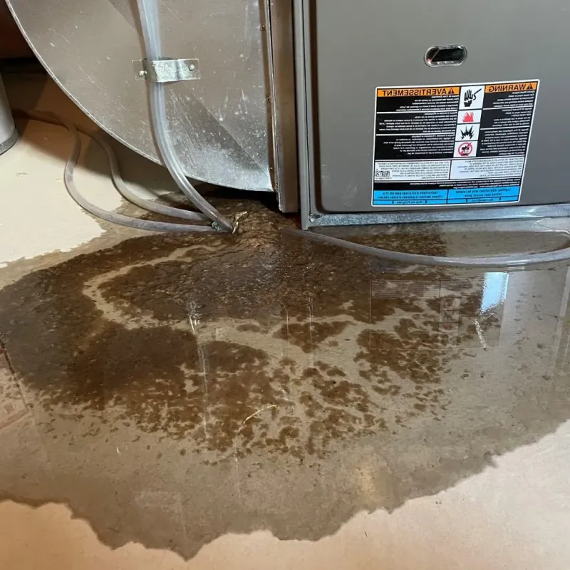 Pipe Burst and Leak Restoration in Northwest Ithaca, NY
